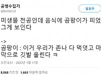 썸네일-곰팡이 핀거 거 그냥 위에만 걷어내고 먹으면-이미지