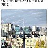 썸네일-대왕 비둘기 8마리 보고 기겁한 썰-이미지