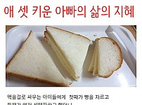 썸네일-육아 경력직의 중요성-이미지