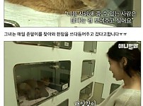 썸네일-버림받고 삶을 포기한 고양이-이미지