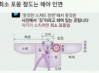 썸네일-옷깃만 스쳐도 인연의 진짜 뜻-이미지