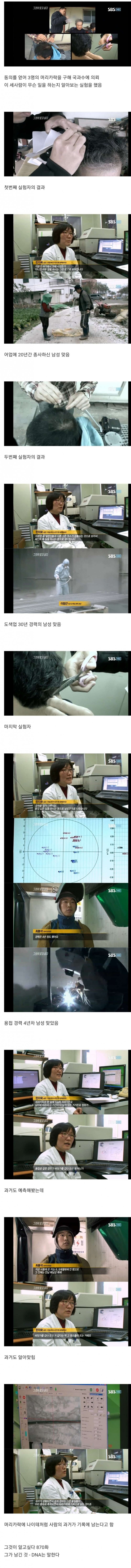 nokbeon.net-머리카락으로 알수있는 사람들의 삶-1번 이미지