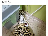 썸네일-아무도 안 믿겠지.jpg-이미지