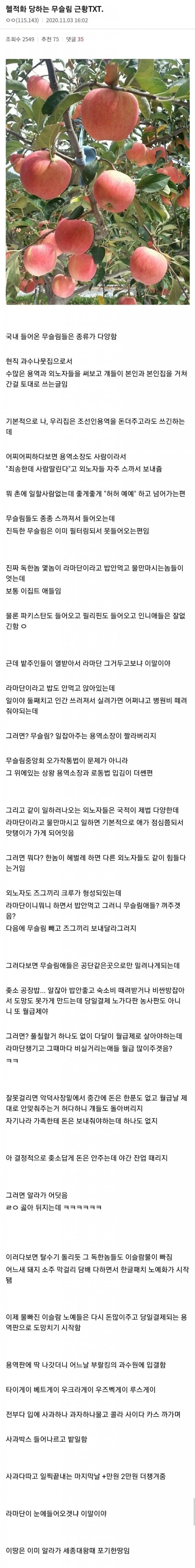 nokbeon.net-한국의 매운맛을 알아버린 무슬림 근황-1번 이미지