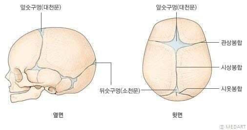 nokbeon.net-아기 머리에 있는 숨구멍-4번 이미지