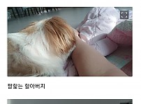 썸네일-아내의 친구 강아지가 저를 자꾸 핥아요-이미지