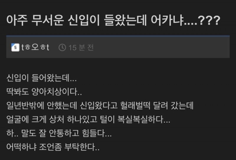 nokbeon.net-무서운 회사 신입-1번 이미지