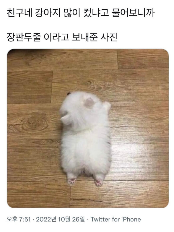 nokbeon.net-너내 강아지 많이 컸냐-1번 이미지