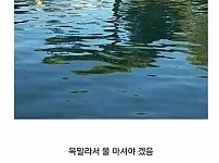 썸네일-아마존에서 비행기 추락했는데 혼자 살아남은 여성-이미지