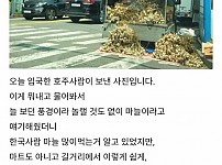 썸네일-외국인이 놀라워 하는 한국의 노점상-이미지