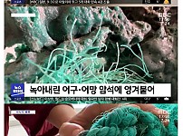 썸네일-브라질 화산섬에서 플라스틱 암석 발견-이미지