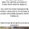 썸네일-어느 공장의 고양이 이야기-이미지