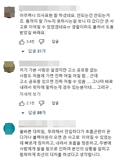 nokbeon.net-고소공포증 때문에 차 멈추고 아예 내리신 아줌마-4번 이미지