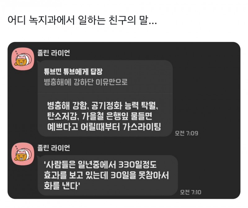 nokbeon.net-은행나무가 가로수인 이유-3번 이미지