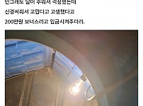 썸네일-ㅈ소에서 기르는 강아지 돌봤다고 보너스 200받았다-이미지