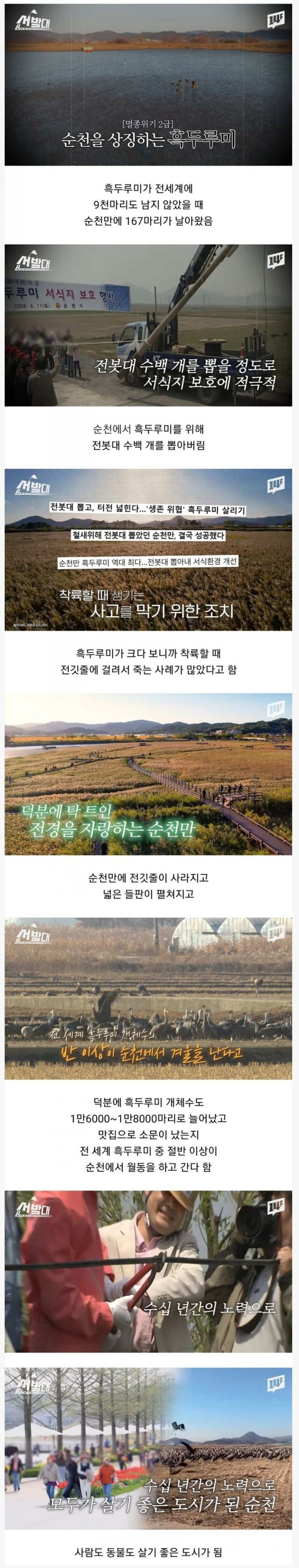 nokbeon.net-순천에서 전봇대 수백 개를 뽑아버린 이유-1번 이미지