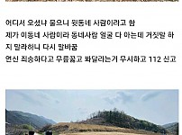 썸네일-10년간 도둑질하던 두릅 도둑을 잡았습니다-이미지