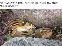 썸네일-등산하다가 심장이 멎을 뻔-이미지