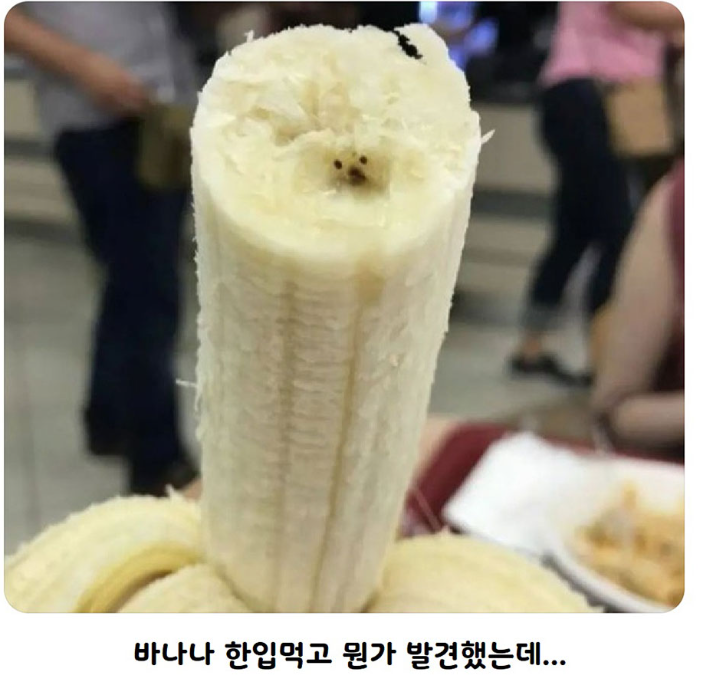 nokbeon.net-바나나 먹는데 강아지 만났어.jpg-2번 이미지