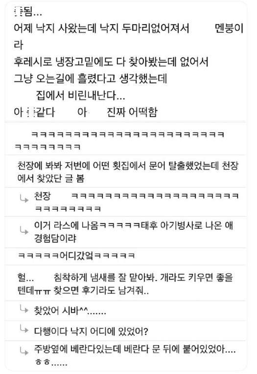 nokbeon.net-아 집에서 낙지 잃어버렸어-2번 이미지