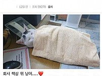 썸네일-울 엄마 근무환경 부러워 ㅠㅠ-이미지