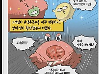 썸네일-진상아줌마를 입닥치게한 알바생-이미지