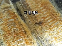 썸네일-생선 뼈 발라주던 전남친의 비밀-이미지