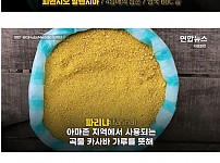 썸네일-아마존에 추락하여 40일간 생존한 4남매-이미지