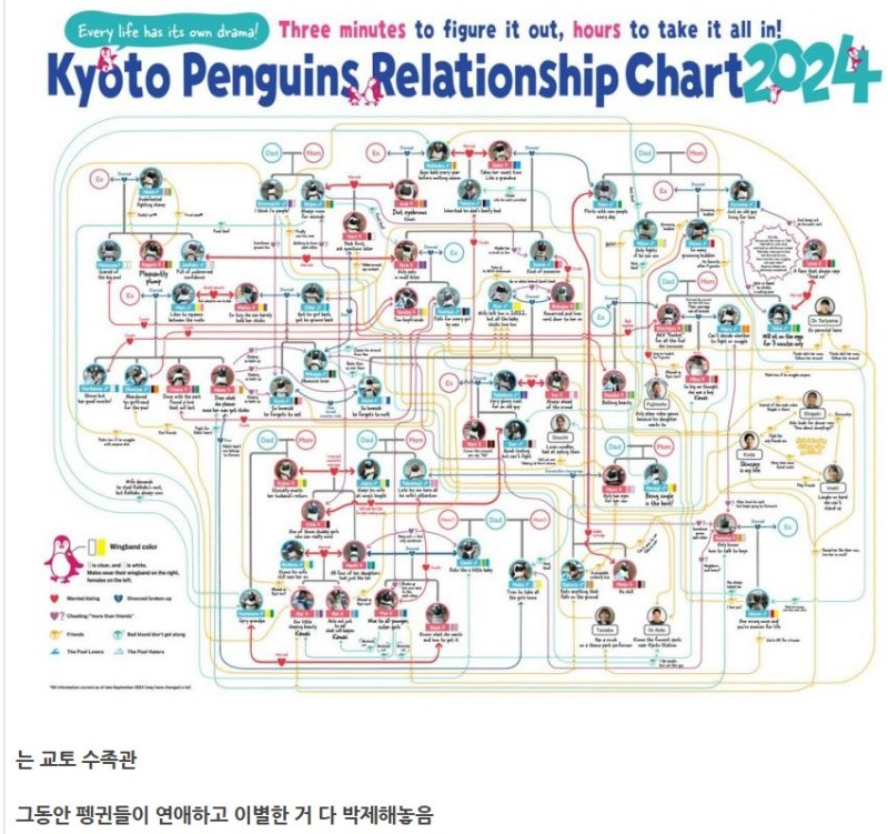 nokbeon.net-사내 연애 관계를 차트로 박제 해놓은 회사-1번 이미지