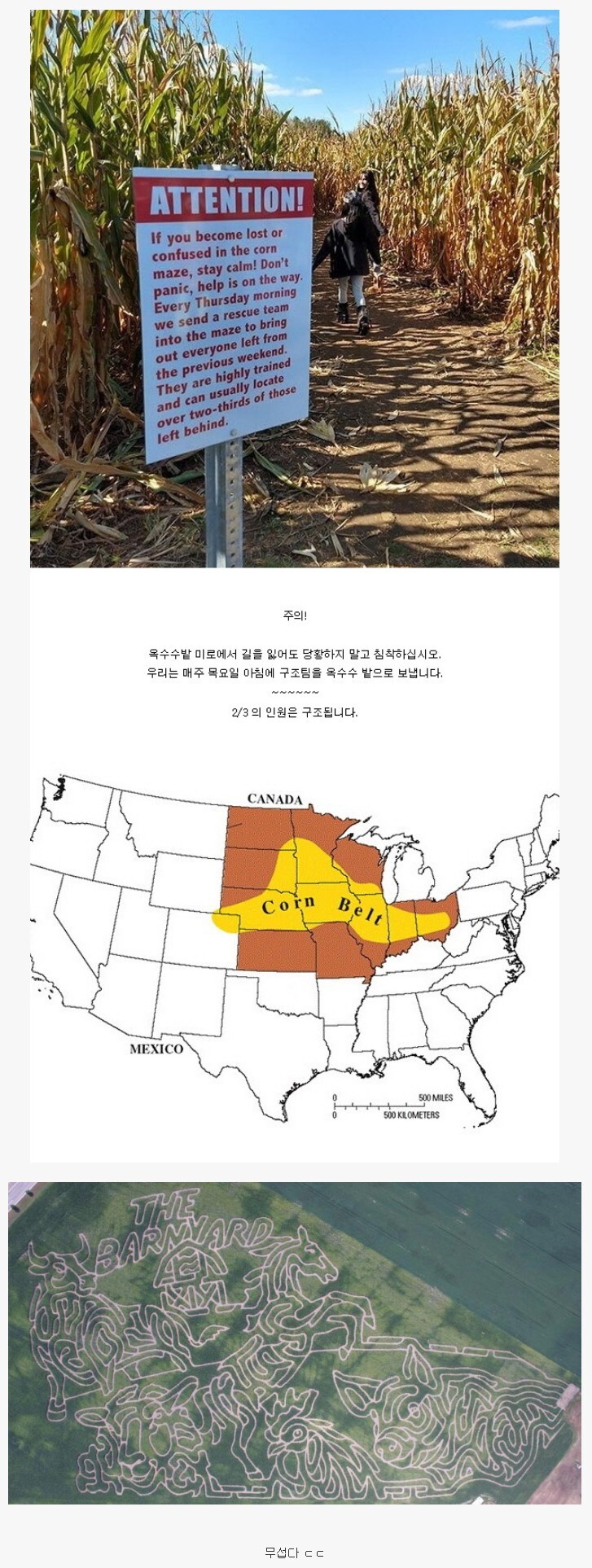 nokbeon.net-미국 초대형 옥수수밭 미로-1번 이미지