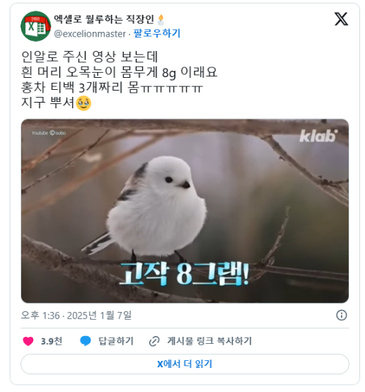 nokbeon.net-몸무게가 홍차 티백 3개 무게라는 흰머리오목눈이 새.JPG-1번 이미지