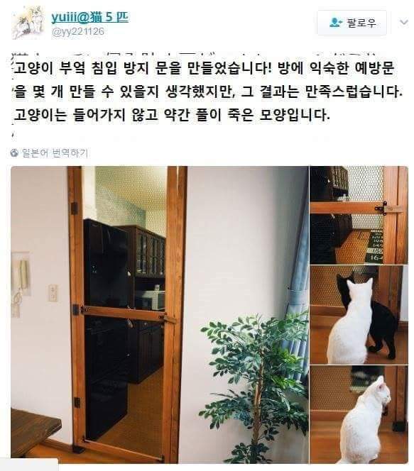 nokbeon.net-고양이 침입 방지문을 만든 일본인-1번 이미지