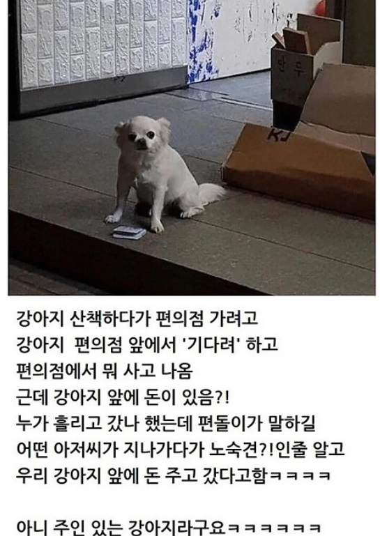 nokbeon.net-강아지 산책하다가 편의점 가려고..-1번 이미지