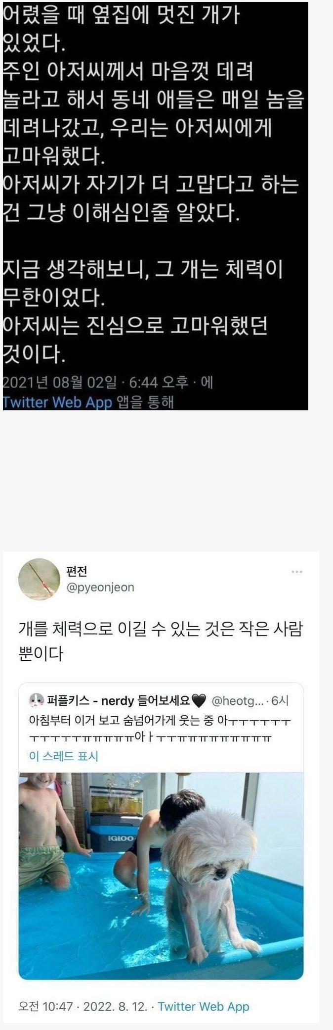 nokbeon.net-옆집 아저씨가 자기 개를 빌려주고 고마워했던 이유-1번 이미지