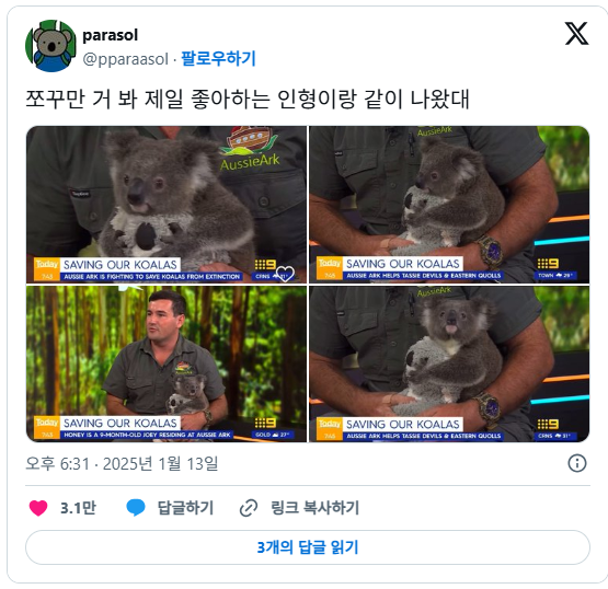 nokbeon.net-제일 좋아하는 인형과 뉴스에 출연함...x-1번 이미지