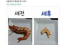 썸네일-세전 vs 세후.jpg-이미지