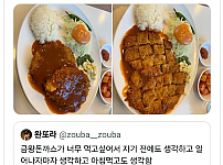 썸네일-돈가스 주문하면 뒤집어서 잘라둔다는 사람-이미지