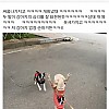 썸네일-친구네 강아지 순한데 산책나가서 싸움남-이미지