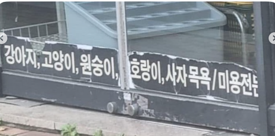 nokbeon.net-아 반려동물 산업 정말 치열하구나.jpg-1번 이미지