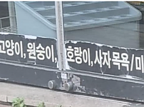 썸네일-아 반려동물 산업 정말 치열하구나.jpg-이미지