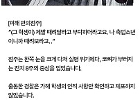 썸네일-나 촉법인데 어쩌라고 한 놈의 최후-이미지
