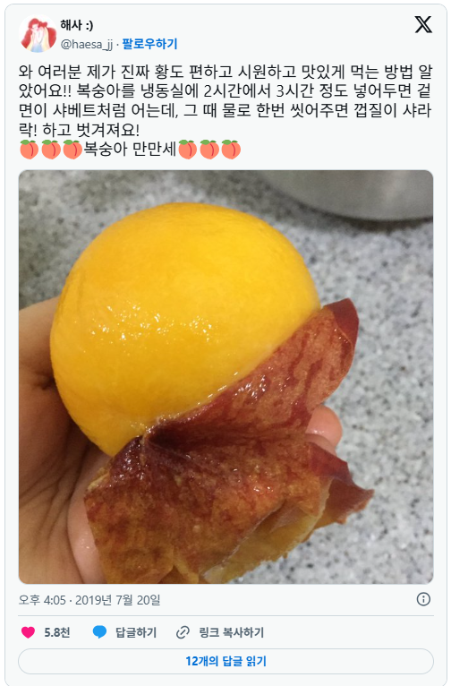 nokbeon.net-황도 복숭아 편하고 시원하고 맛있게 먹는 방법.twt-2번 이미지