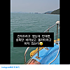 썸네일-고라니가 영어로 water deer인 이유-이미지