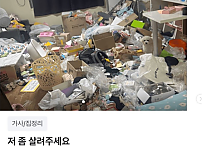 썸네일-강아지가 글 올린 거 아니냐는 당근마켓 청소알바-이미지