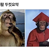 썸네일-대학 생활 두 컷 요약.jpg-이미지