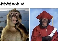 썸네일-대학 생활 두 컷 요약.jpg-이미지