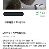 썸네일-당근마켓에서 어느 판매자가 무료 나눔 하는 상품-이미지