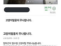 썸네일-당근마켓에서 어느 판매자가 무료 나눔 하는 상품-이미지