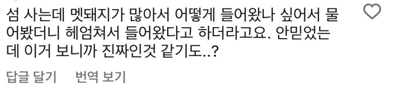 nokbeon.net-고라니가 영어로 water deer인 이유-5번 이미지