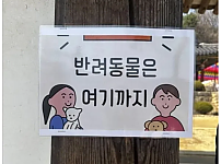 썸네일-남편이 나더러 밖에서 기다리래-이미지
